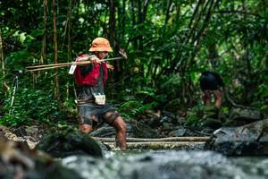 BIB: 
                            <button type="button" onclick="openModal(26246547)" class="btn btn-primary btn-sm float-right btn-popup" data-toggle="modal" data-target=".modal-high-quality">
                        <i class="fas fa-shopping-cart"></i> Add to Cart
                    </button>
                                            <button type="button" onclick="isThisMe(26246547, true)" class="btn btn-success btn-sm float-right btn-popup btn-isme hidden" data-toggle="tooltip" data-placement="bottom" title="นี่คือรูปของคุณใช่ไหม คลิกที่นี่เพื่อเอาเข้าอัลบั้ม">
                        <i class="fas fa-plus"></i> Add to album
                    </button>
                    <button type="button" onclick="isThisMe(26246547, false)" class="btn btn-warning btn-sm float-right btn-popup btn-isnotme hidden">
                        <i class="fas fa-ban"></i> Remove from album
                    </button>